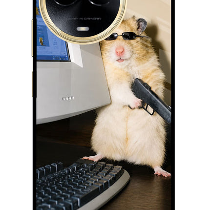 Hacker Hamster Realme 11 5G/11X 5G/C67 Glass Case