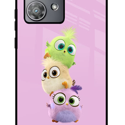 Cute Little Birds Moto Edge 40 Neo Glass Case Back Cover by Casekaro