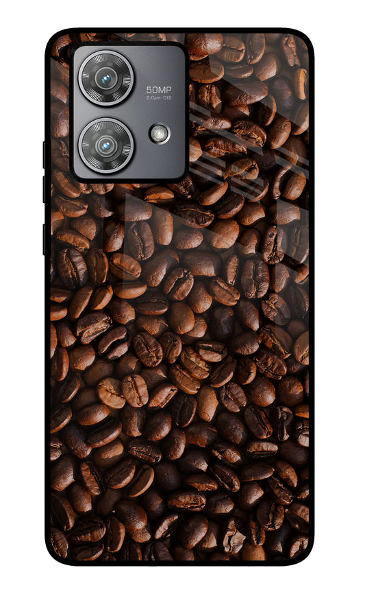 Coffee Beans Moto Edge 40 Neo Glass Case