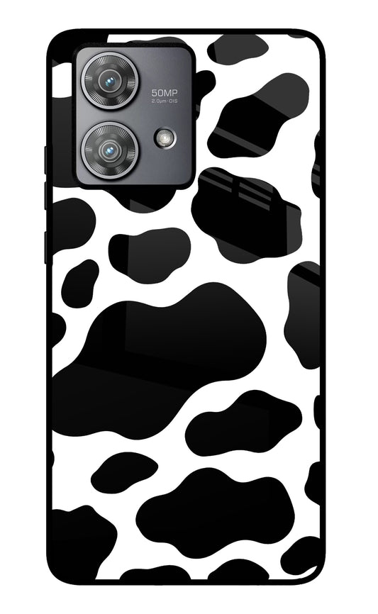 Cow Spots Moto Edge 40 Neo Glass Case