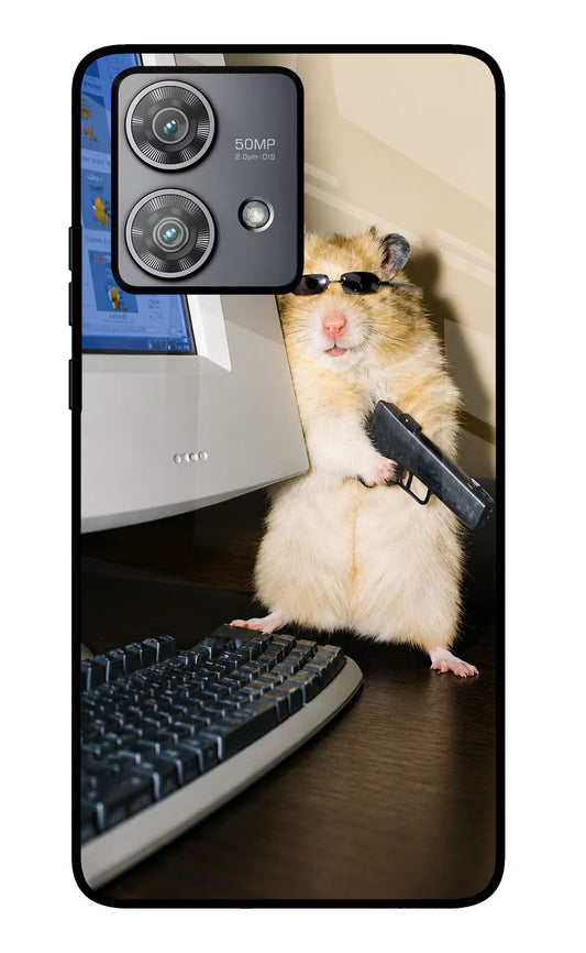 Hacker Hamster Moto Edge 40 Neo Glass Case