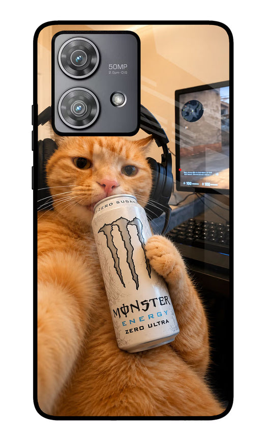 Gamer Cat Energy Moto Edge 40 Neo Glass Case