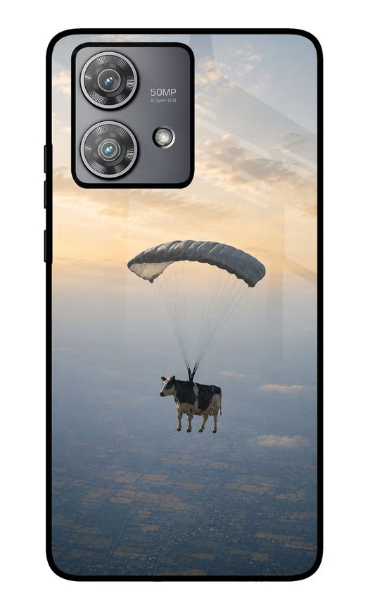 Skydiving Cow Moto Edge 40 Neo Glass Case