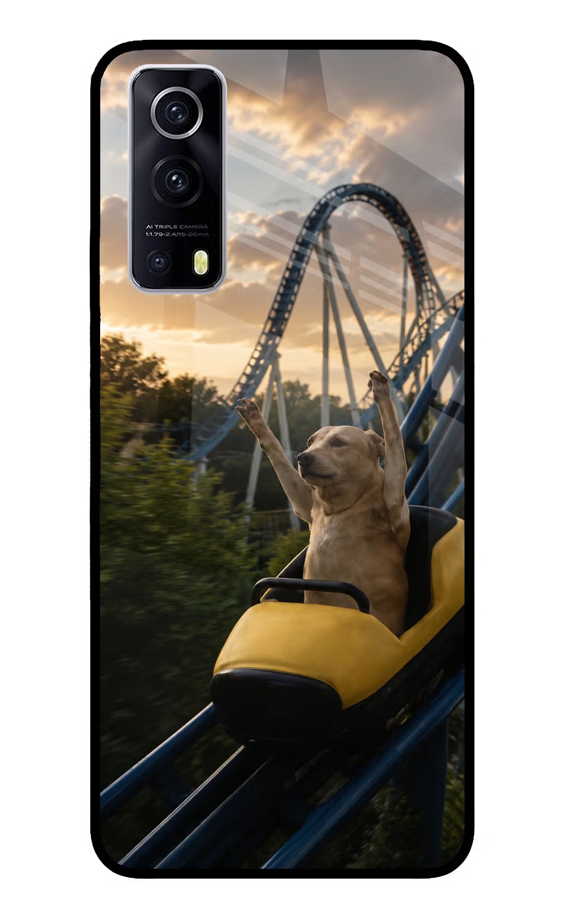 Rollercoaster Dog iQOO Z3 5G Glass Case