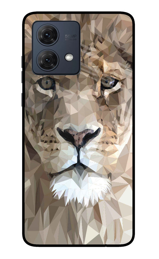 Lion Art Moto G54 5G Glass Case