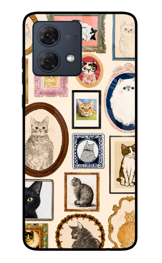 Mirror Cats Moto G54 5G Glass Case