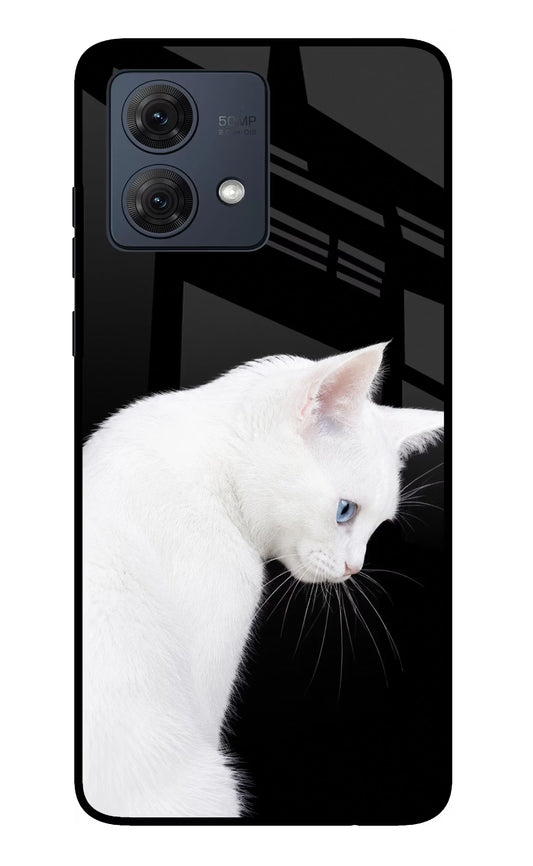 Snow Gaze Moto G54 5G Glass Case