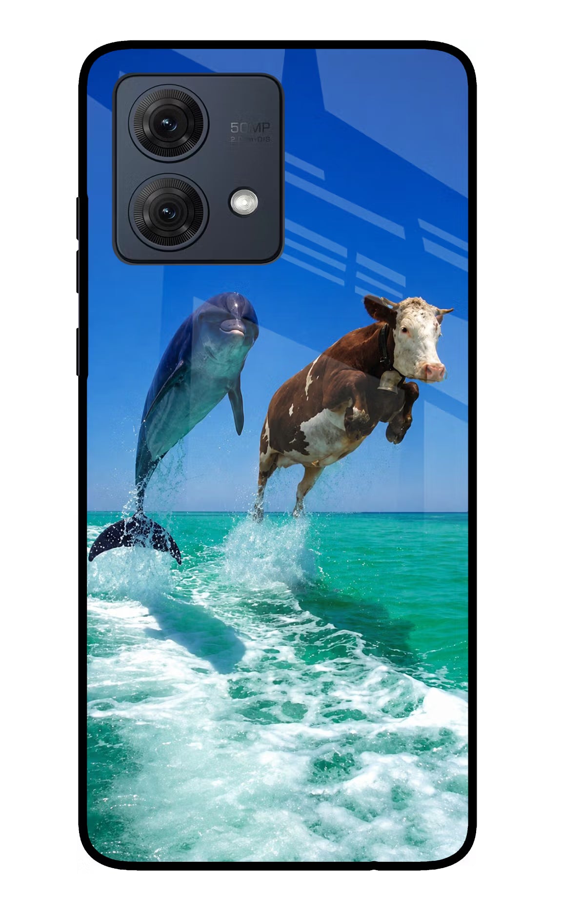 Dolphin vs Cow Moto G54 5G Glass Case