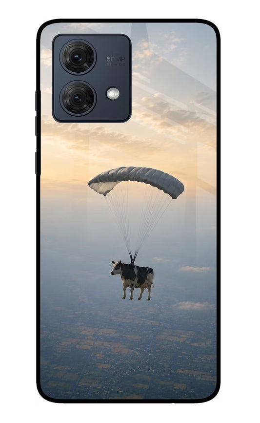 Skydiving Cow Moto G54 5G Glass Case