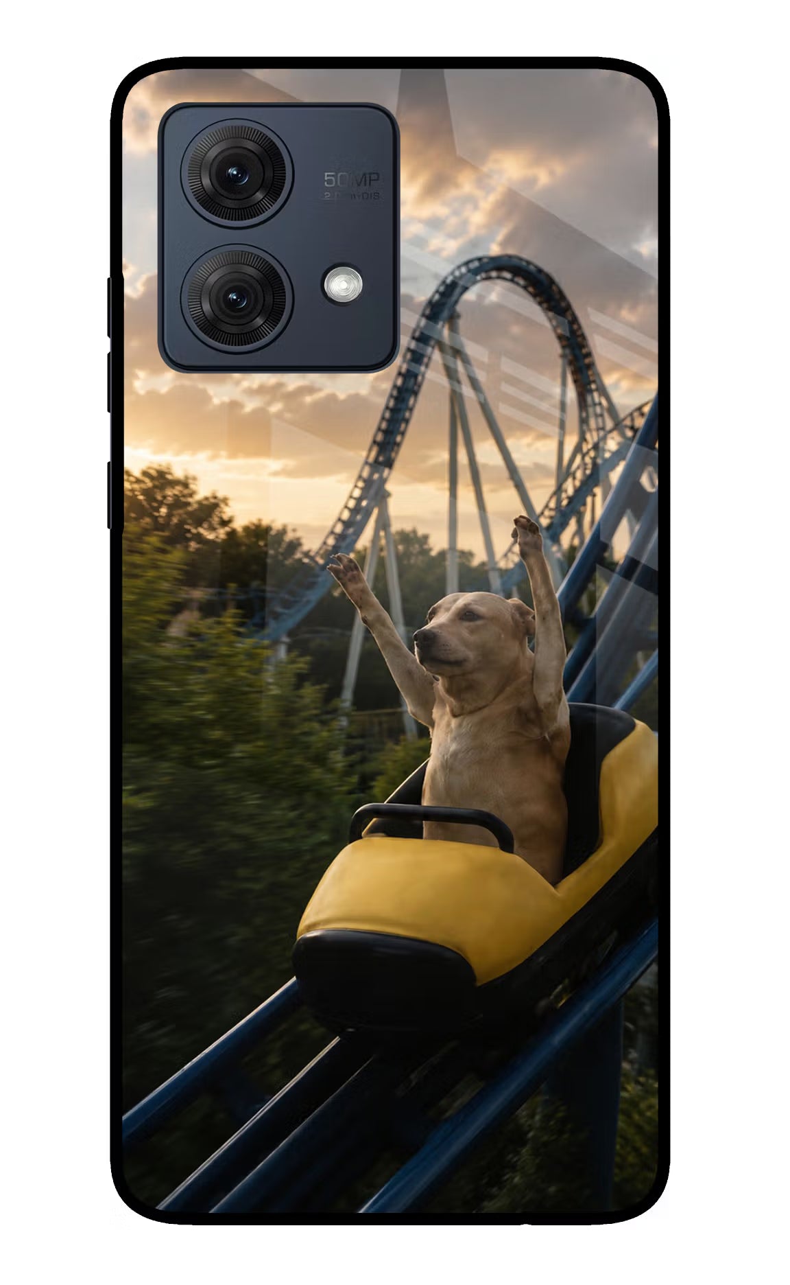 Rollercoaster Dog Moto G54 5G Glass Case