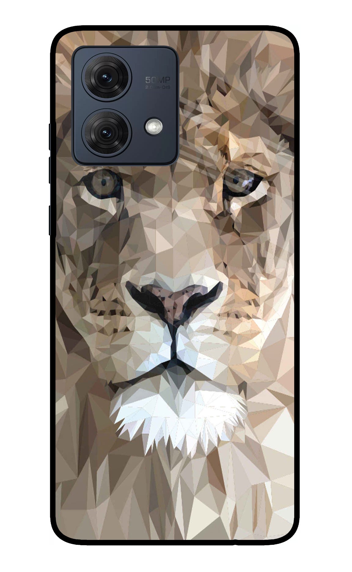 Lion Art Moto G84 5G Glass Case