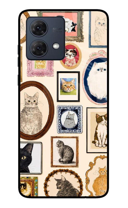 Mirror Cats Moto G84 5G Glass Case