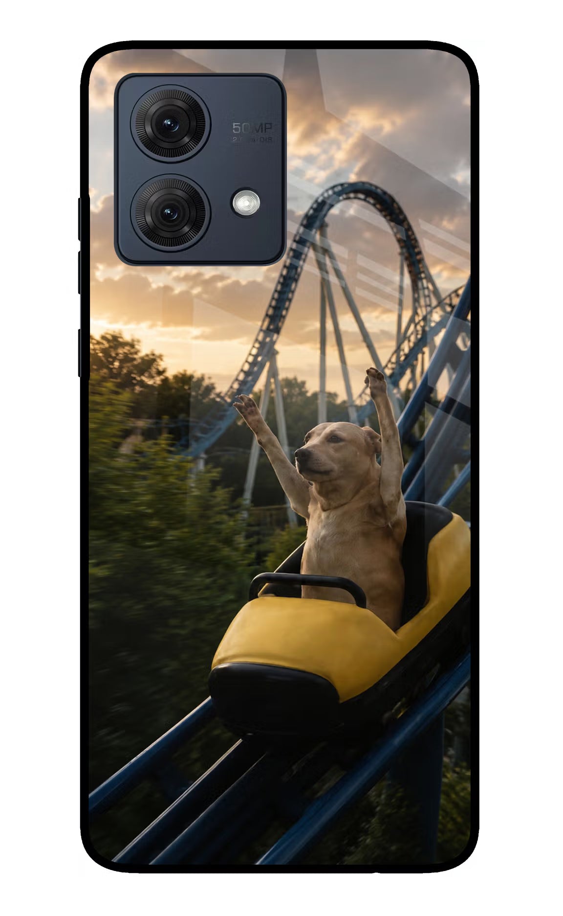 Rollercoaster Dog Moto G84 5G Glass Case