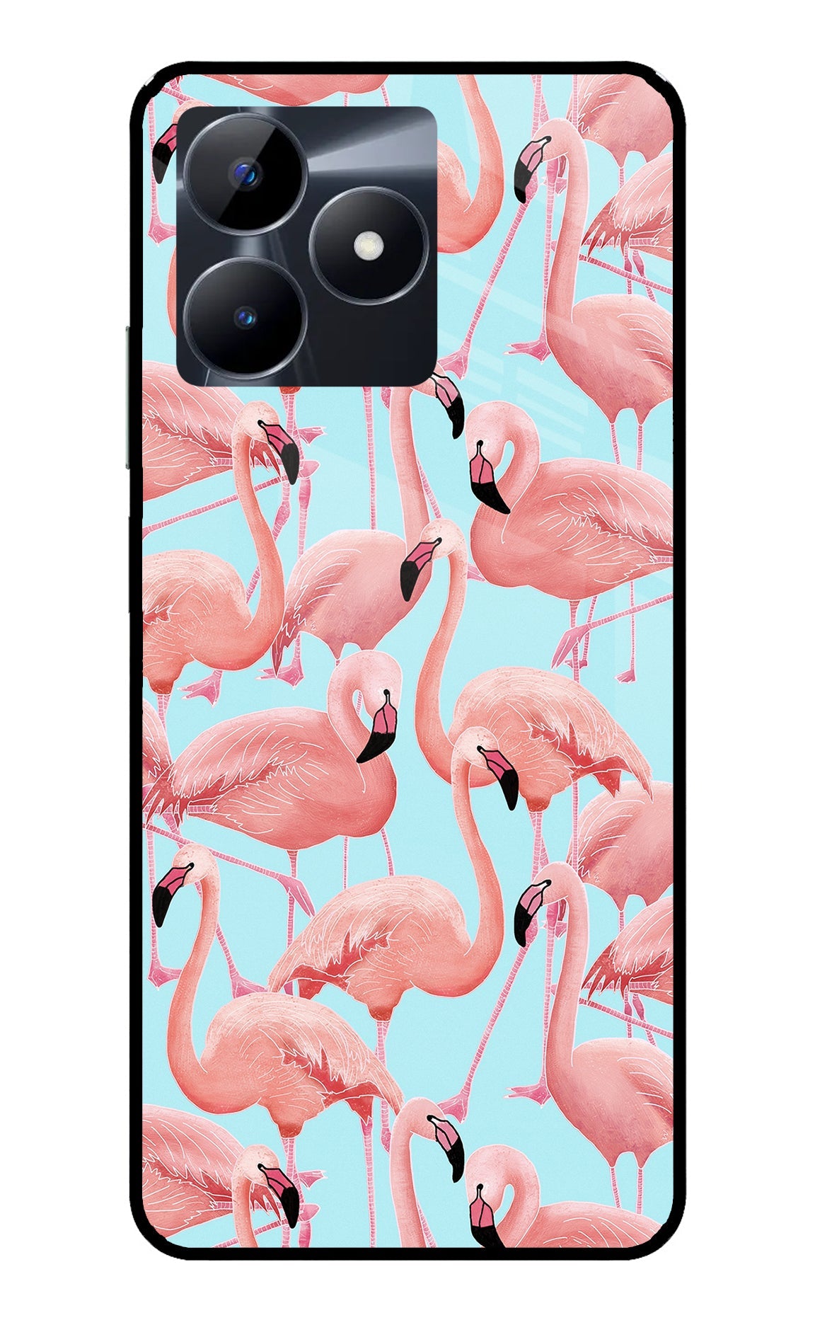 Flamboyance Realme C53 Back Cover