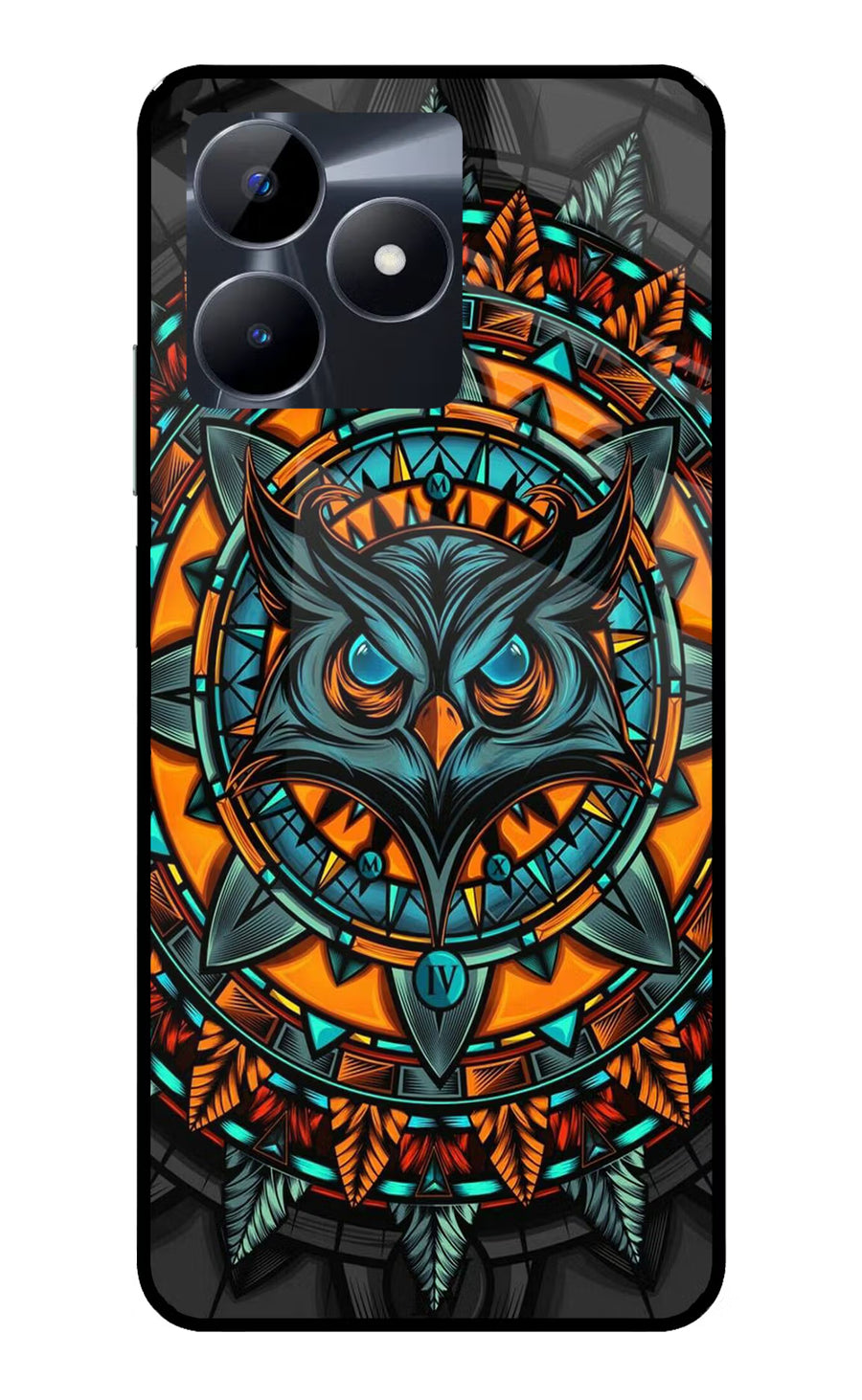 Angry Owl Art Realme C53 Back Cover, Glass case
