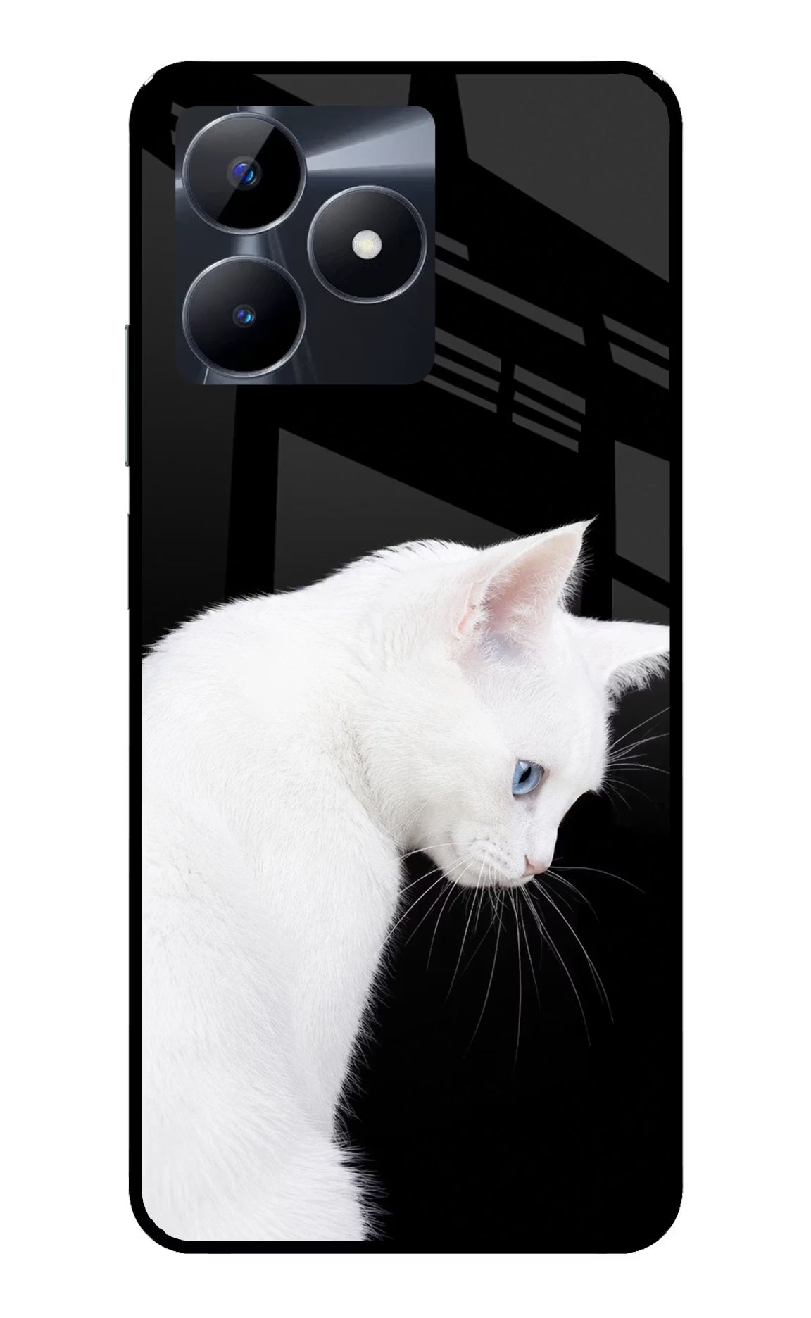 Snow Gaze Realme C53 Glass Case Back Cover by Casekaro