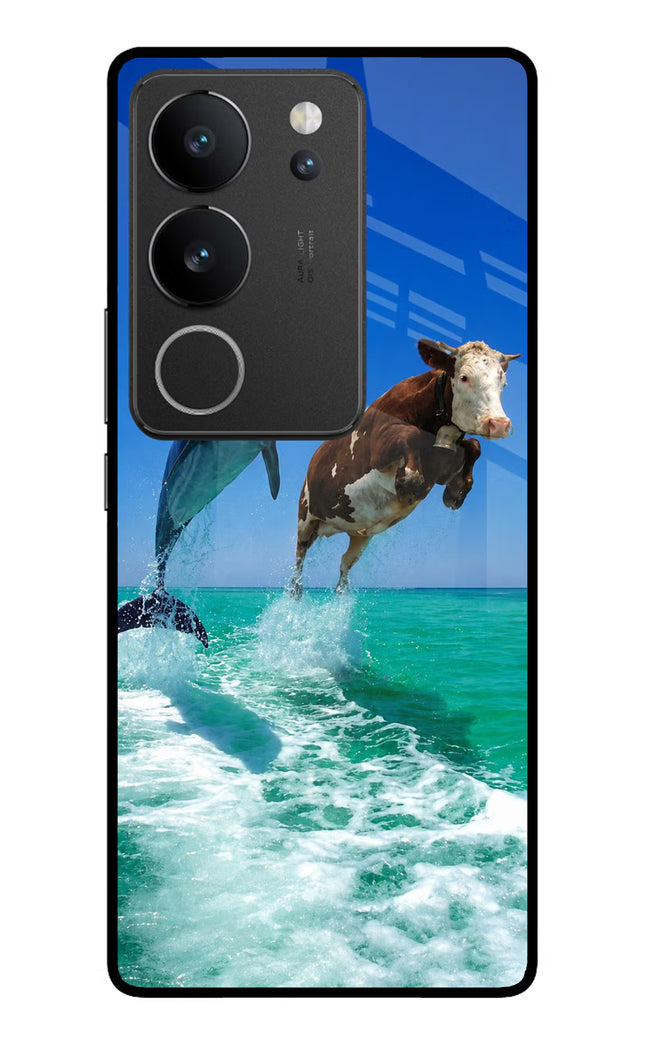 Dolphin vs Cow Vivo V29/V29 Pro Glass Case