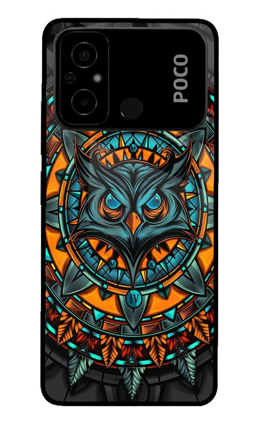 Angry Owl Art Poco C55 Glass Case