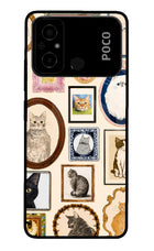 Mirror Cats Poco C55 Glass Case