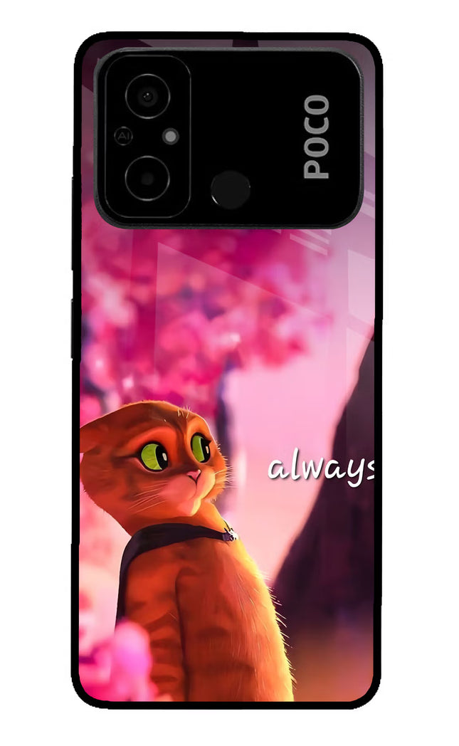 Always Cat Poco C55 Glass Case