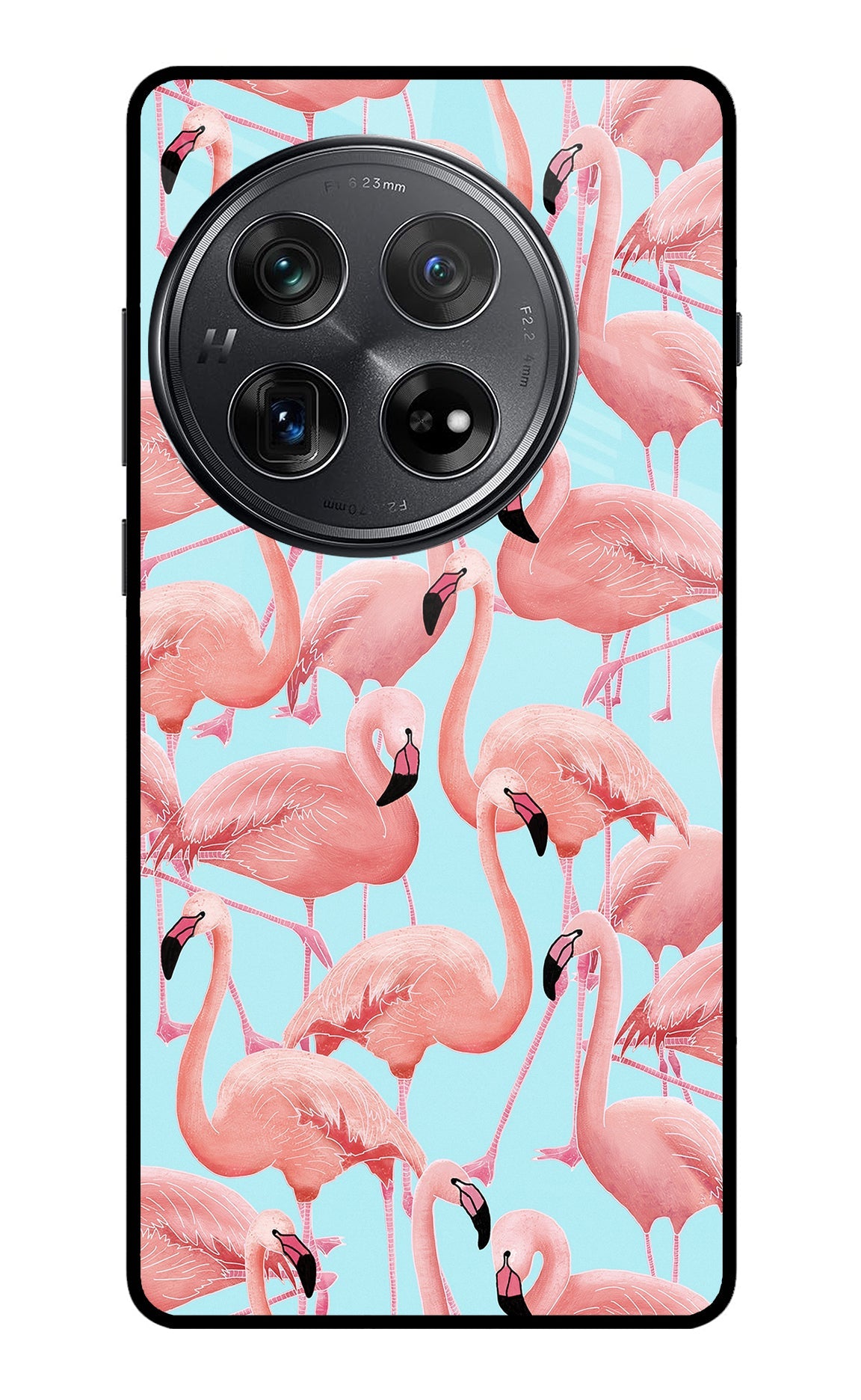 Flamboyance Oneplus 12 Back Cover