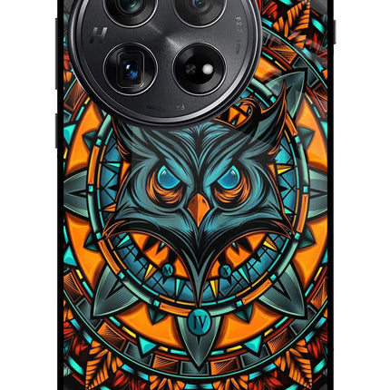 Angry Owl Art Oneplus 12 Glass Case