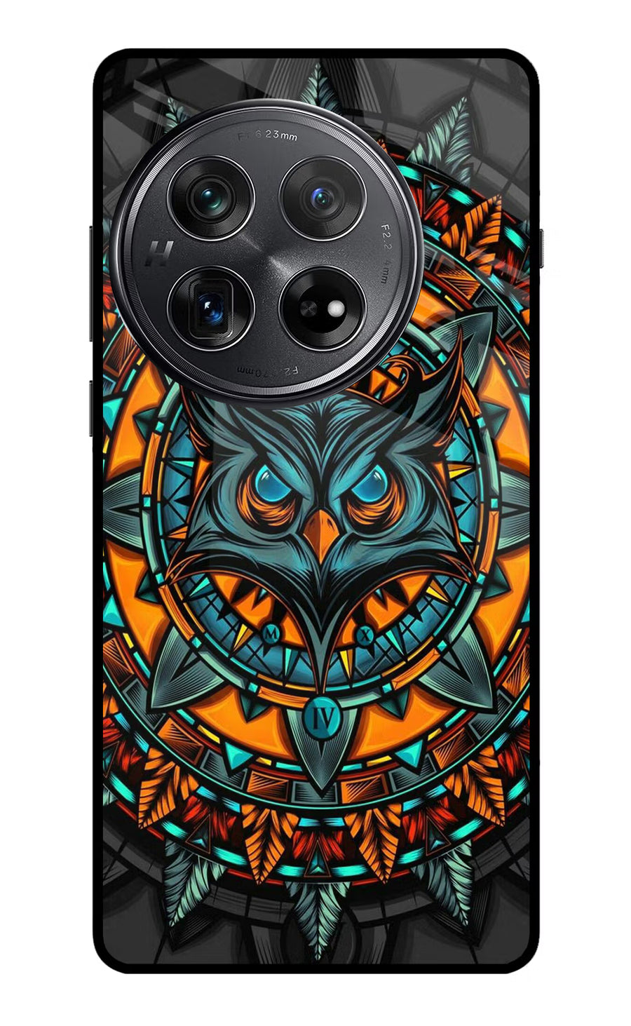 Angry Owl Art Oneplus 12 Back Cover, Glass case
