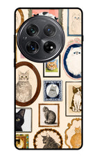 Mirror Cats Oneplus 12 Glass Case