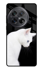 Snow Gaze Oneplus 12 Glass Case
