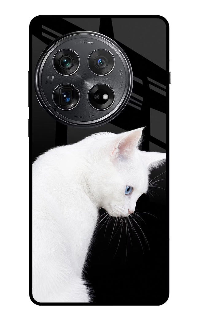 Snow Gaze Oneplus 12 Glass Case