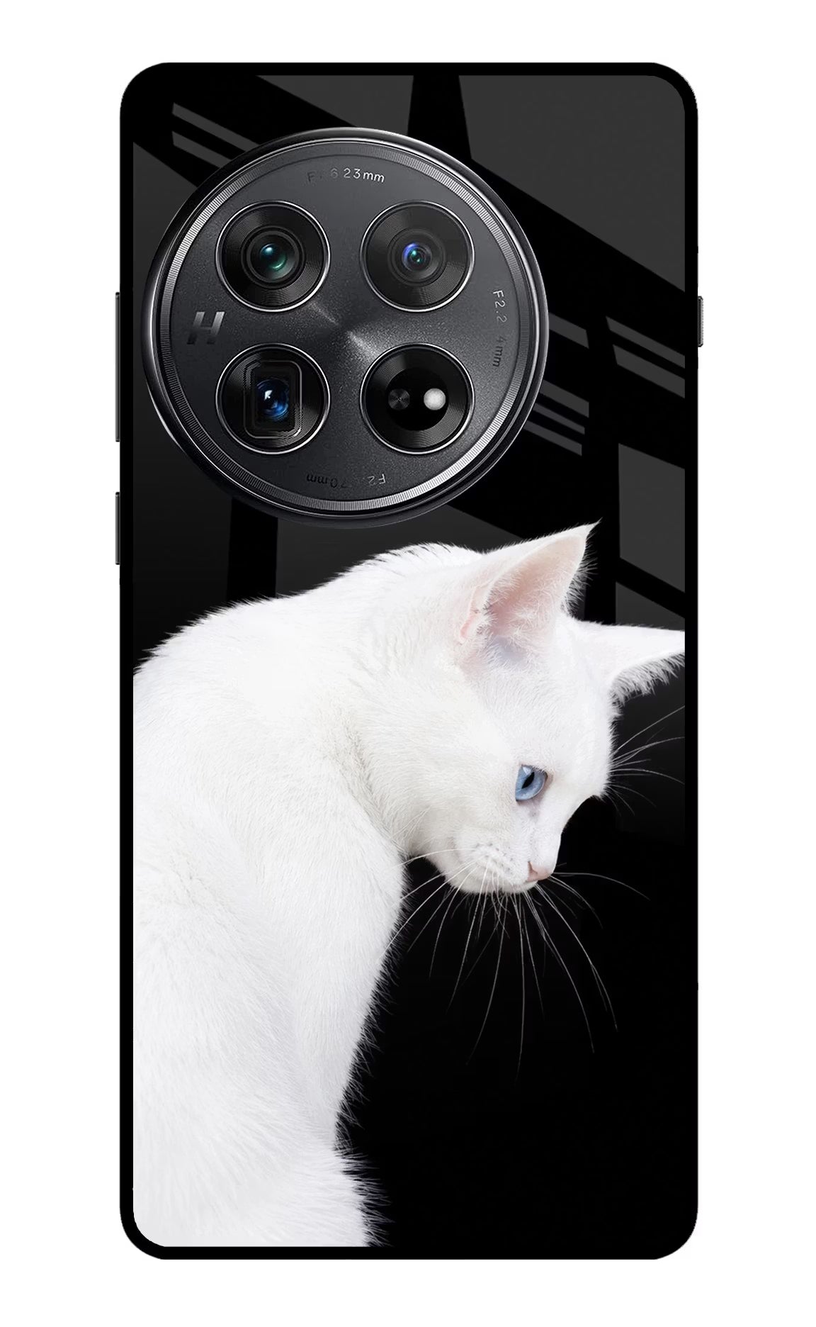 Snow Gaze Oneplus 12 Glass Case Back Cover by Casekaro