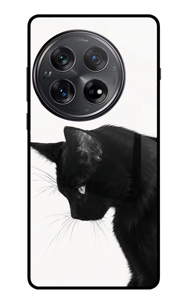Shadow Gaze Oneplus 12 Glass Case