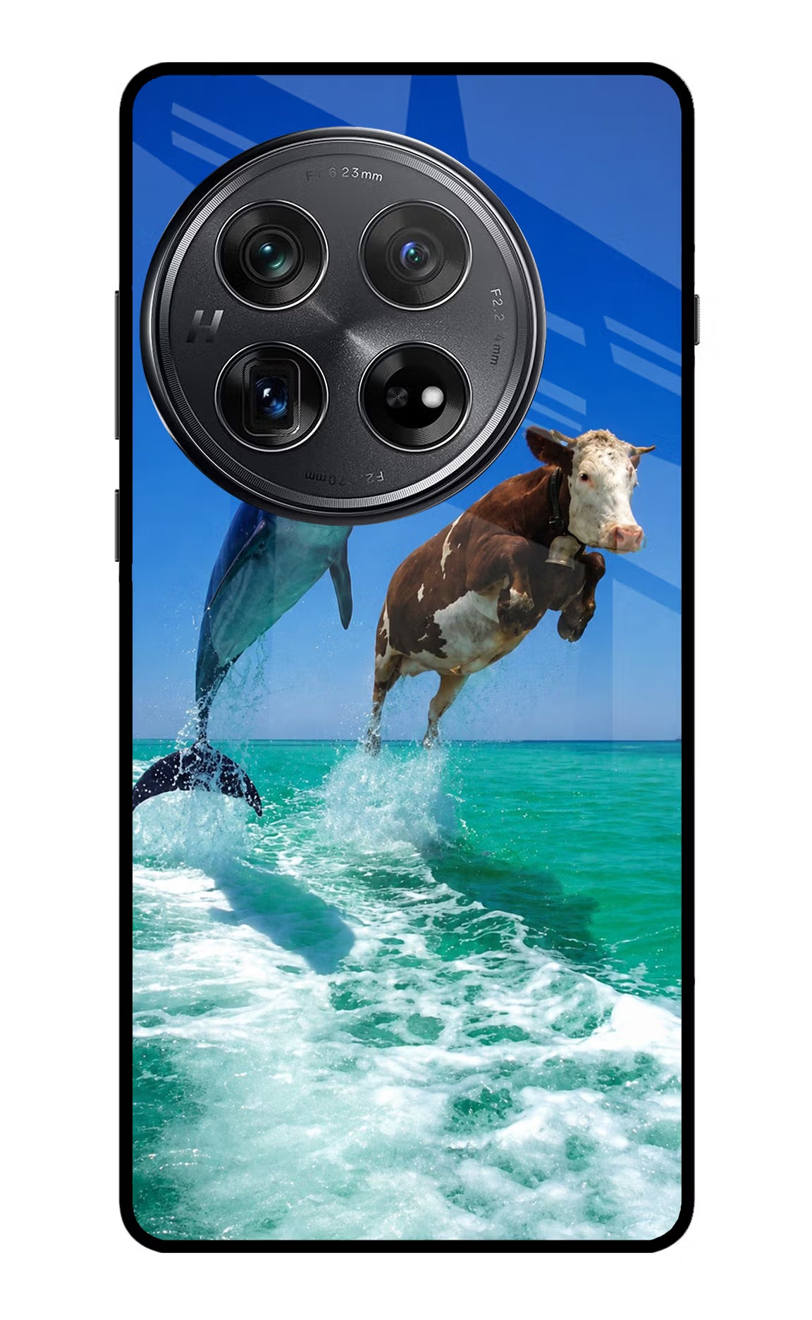 Dolphin vs Cow Oneplus 12 Glass Case