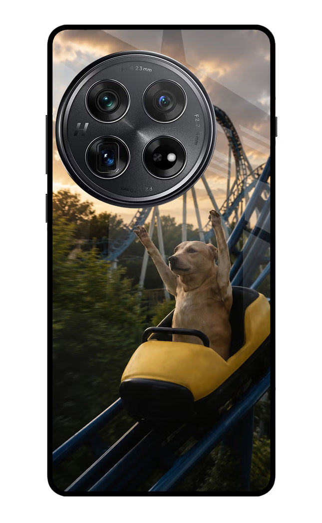 Rollercoaster Dog Oneplus 12 Glass Case