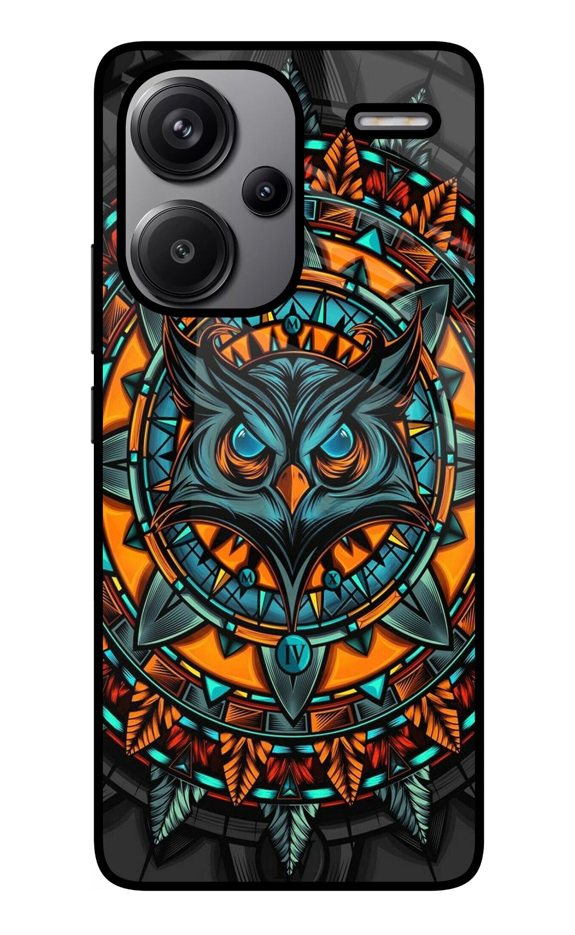 Angry Owl Art Redmi Note 13 Pro+ 5G Glass Case