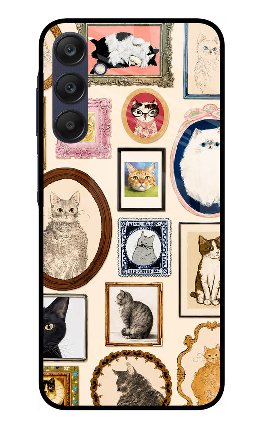 Mirror Cats Samsung A25 5G Glass Case