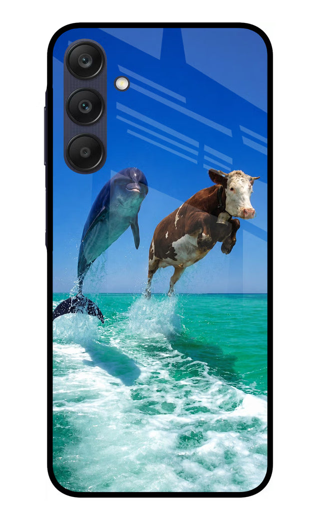 Dolphin vs Cow Samsung A25 5G Glass Case