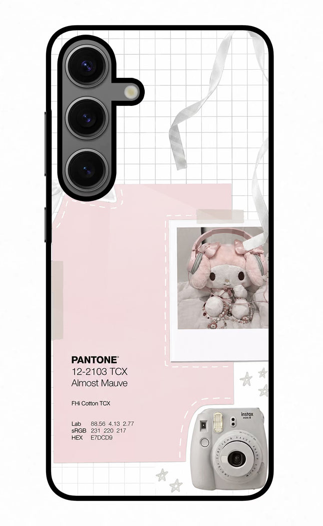 Pantone Asthetic Samsung S24 Glass Case