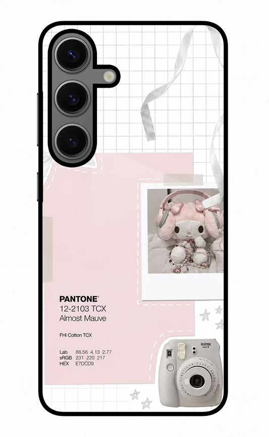 Pantone Asthetic Samsung S24 Plus Glass Case