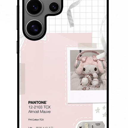 Pantone Asthetic Samsung S24 Ultra Glass Case