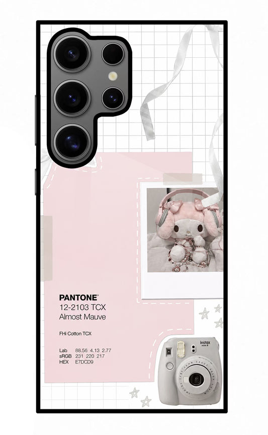 Pantone Asthetic Samsung S24 Ultra Glass Case