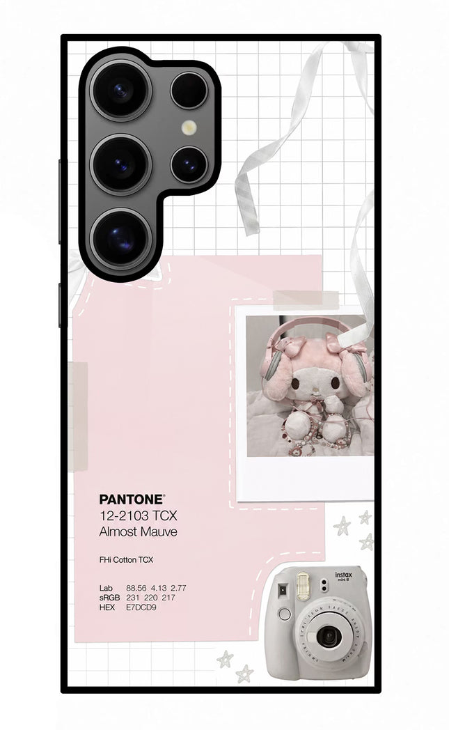 Pantone Asthetic Samsung S24 Ultra Glass Case