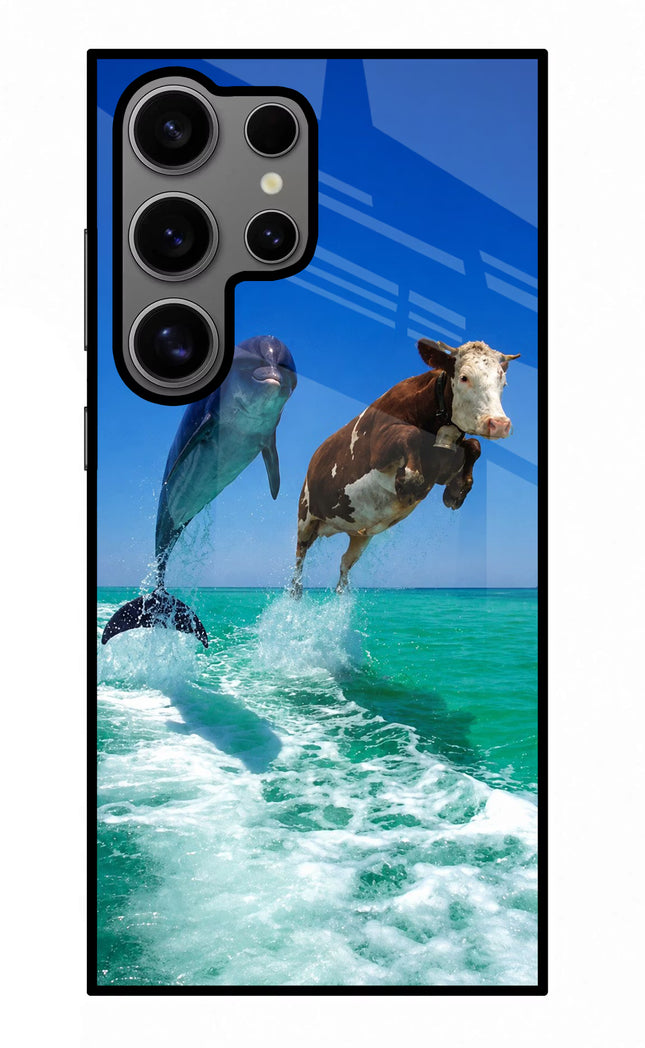 Dolphin vs Cow Samsung S24 Ultra Glass Case