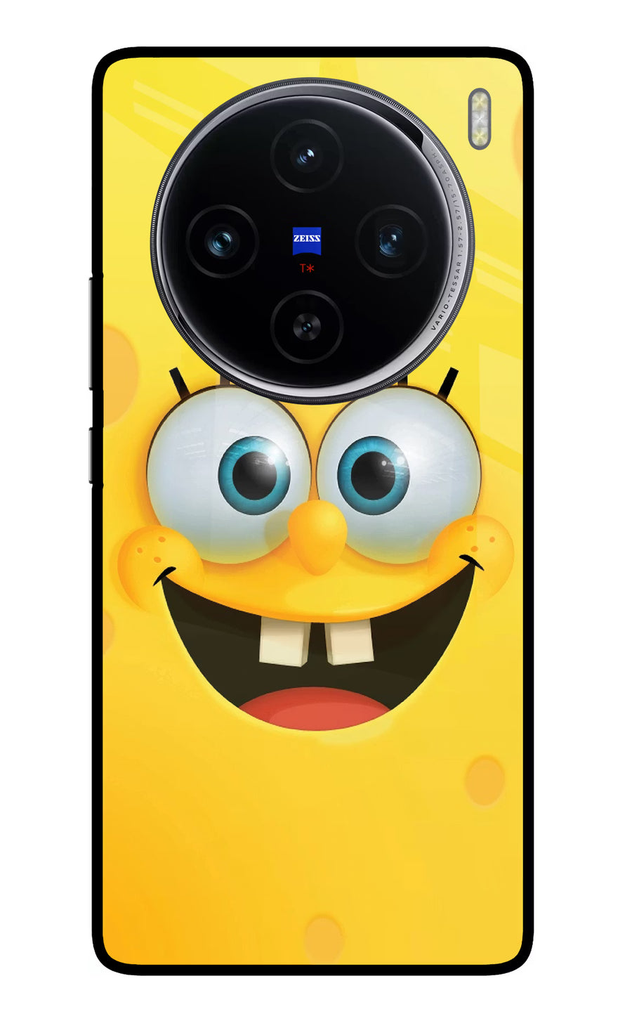 Sponge 1 Vivo X100 Back Cover, Glass case
