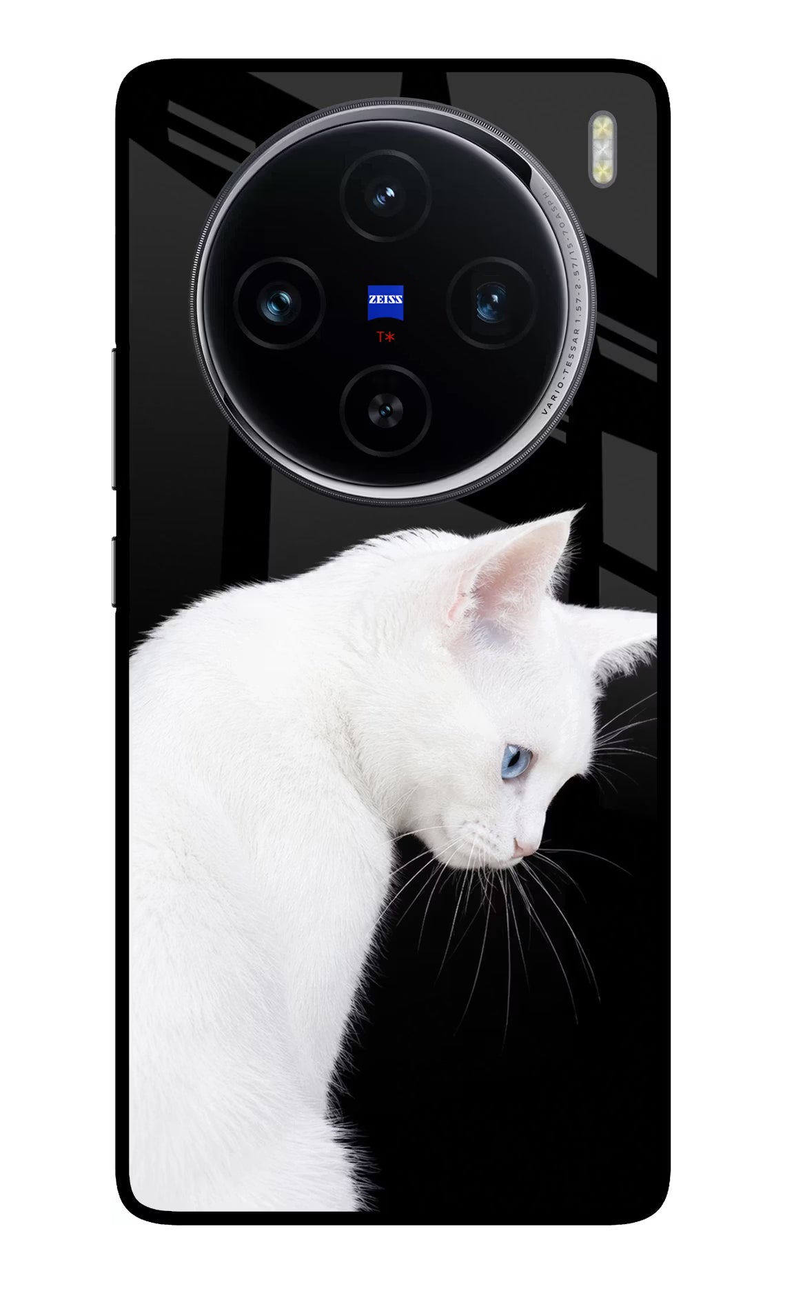 Snow Gaze Vivo X100 Glass Case