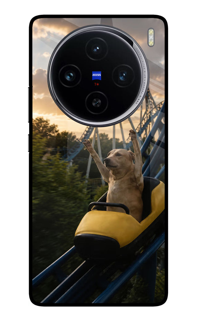 Rollercoaster Dog Vivo X100 Glass Case