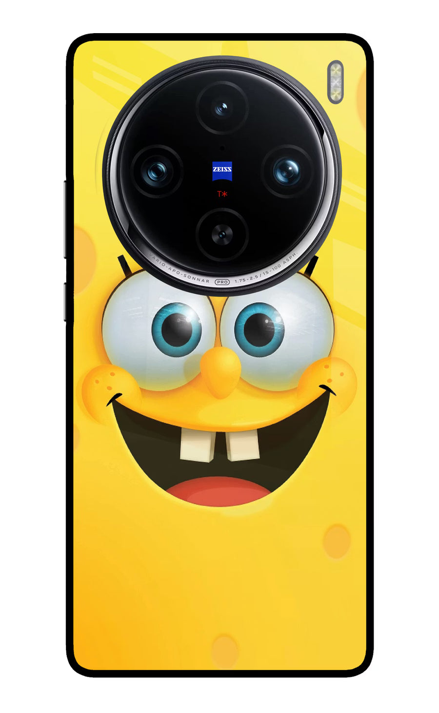 Sponge 1 Vivo X100 Pro Back Cover, Glass case