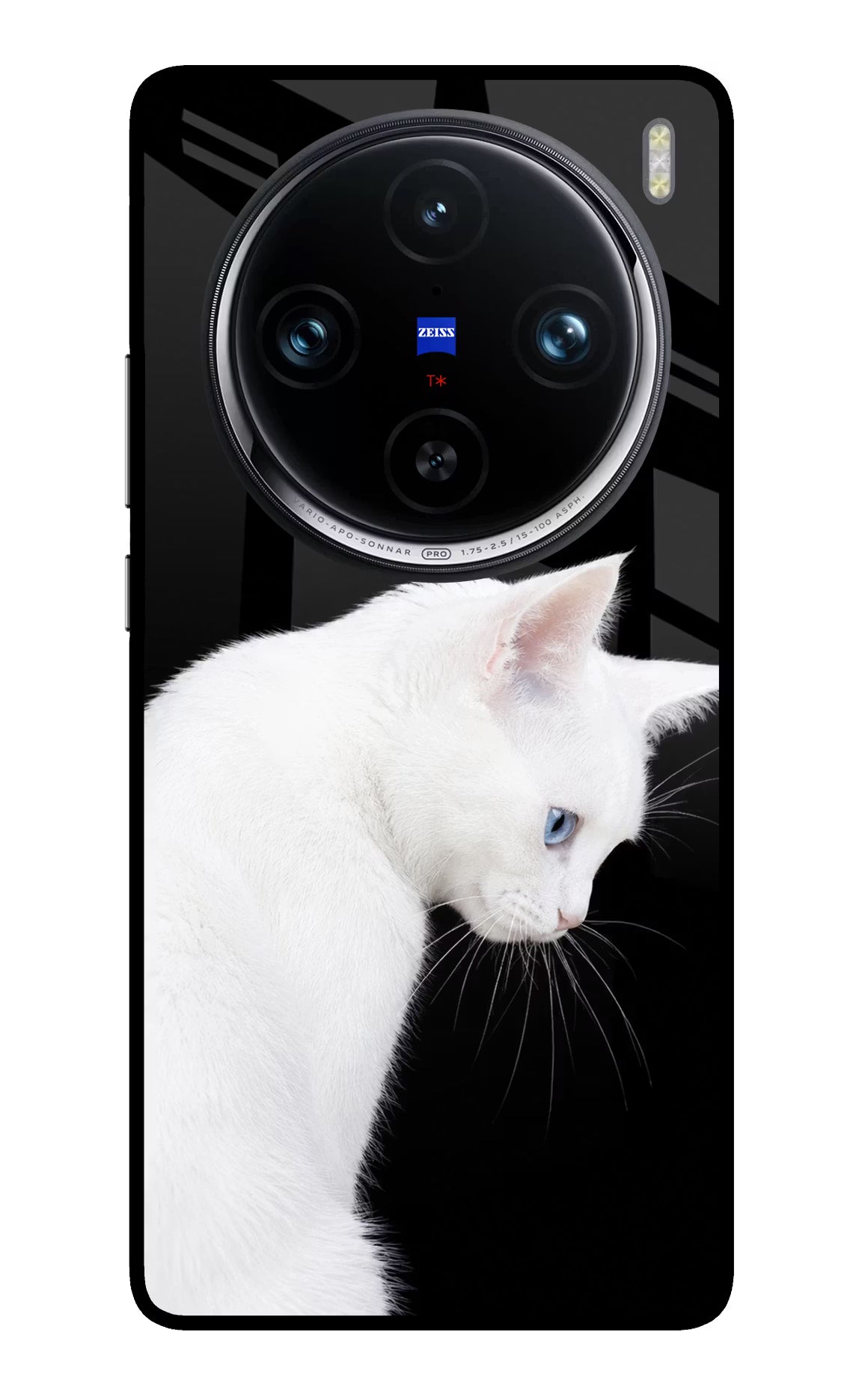 Snow Gaze Vivo X100 Pro Glass Case