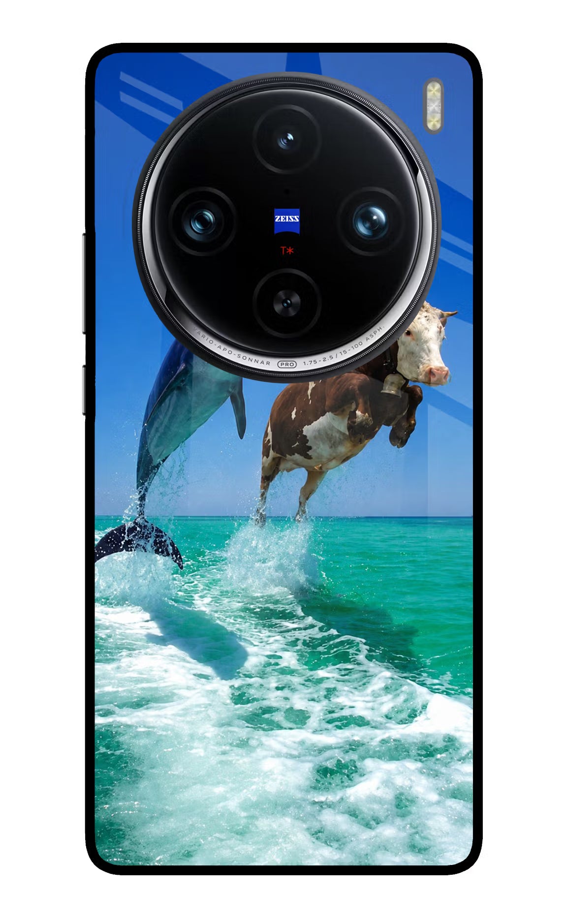 Dolphin vs Cow Vivo X100 Pro Glass Case