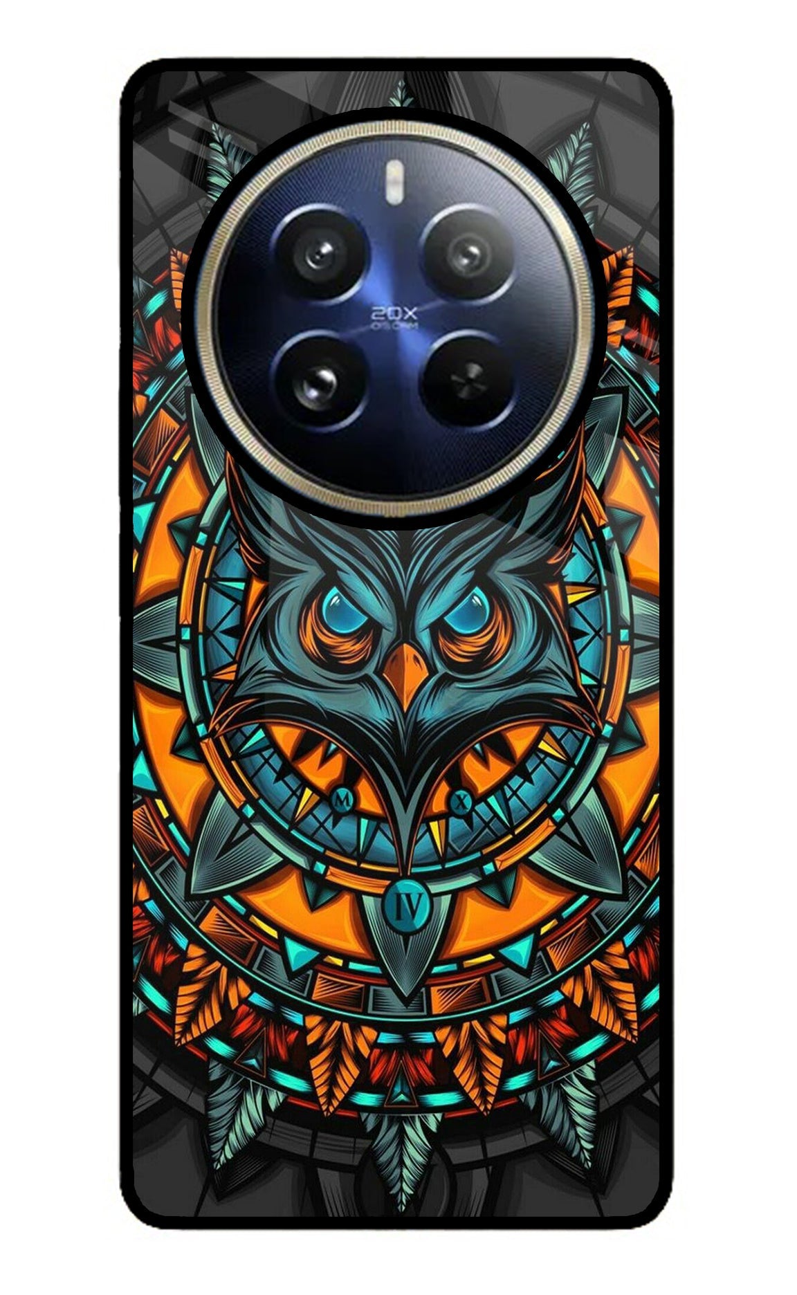 Angry Owl Art Realme 12 Pro 5G/12 Pro+ 5G Glass Case